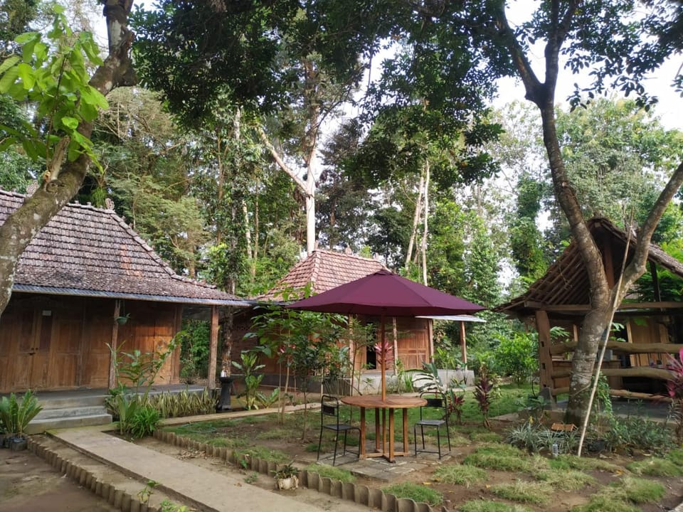 Property building, Garden, Garden view