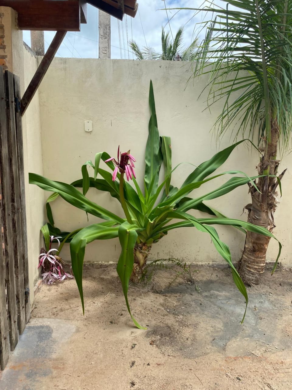 Casa Kalango Barra Grande Pi House in State of Ceará