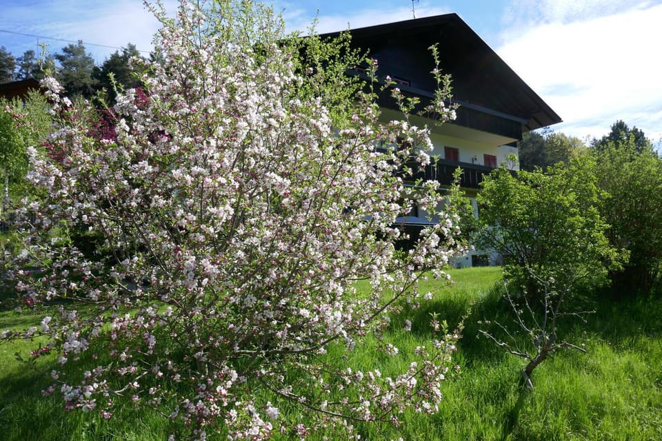Property building, Natural landscape, Garden, Garden view