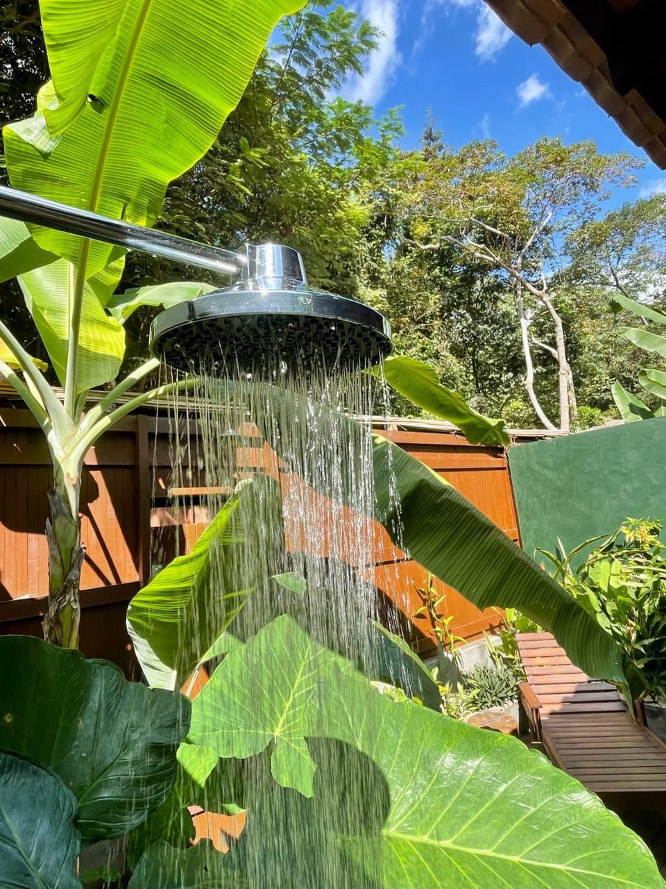 Garden view