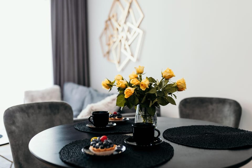 Czapla Apartament Apartment in Gdansk