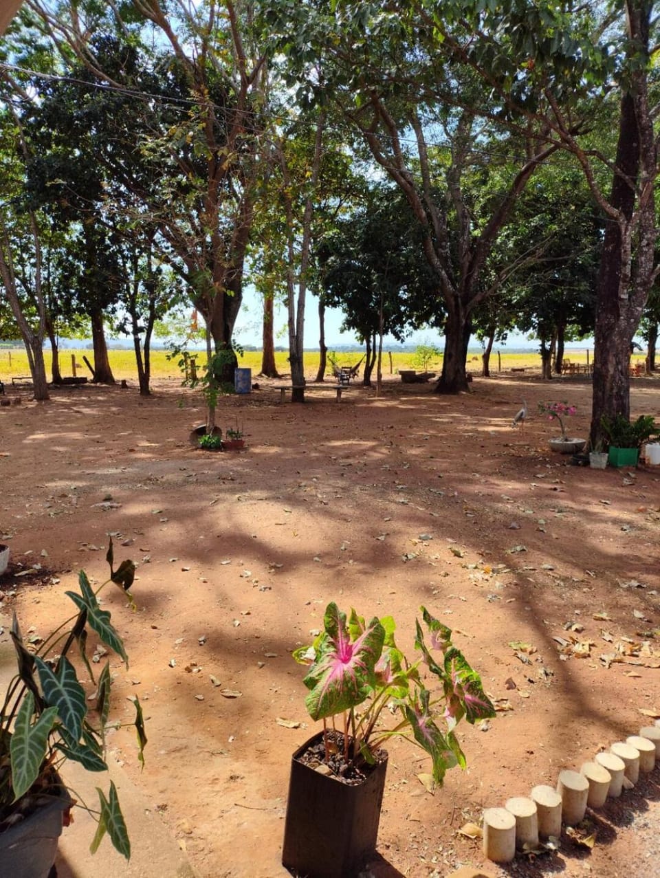 Natural landscape