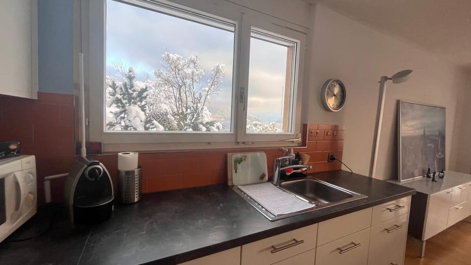 Kitchen or kitchenette, Garden view, Lake view