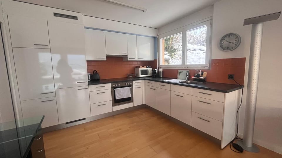 Winter, Kitchen or kitchenette, Garden view, dishwasher, oven, stove, toaster