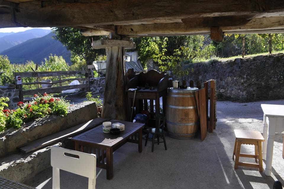 Restaurant/places to eat, Food and drinks