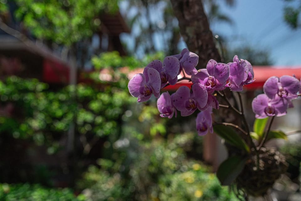 Garden, Garden view