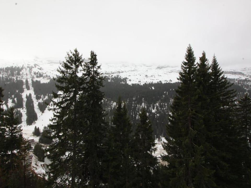 Studio lumineux avec balcon et vue sur pistes, animaux admis - FR-1-687-61 Apartment in Arâches-la-Frasse