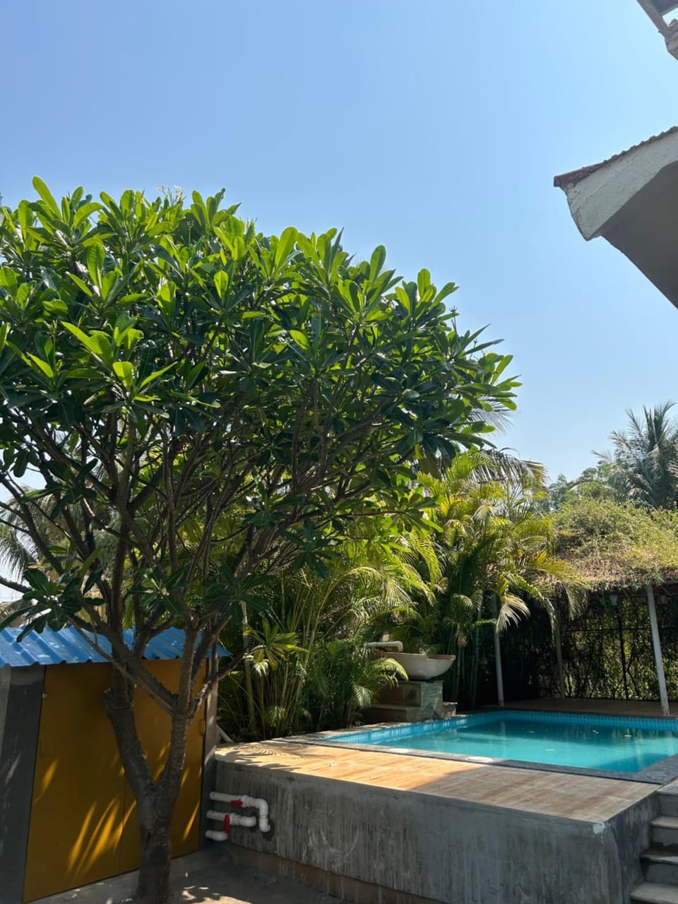 Swimming pool