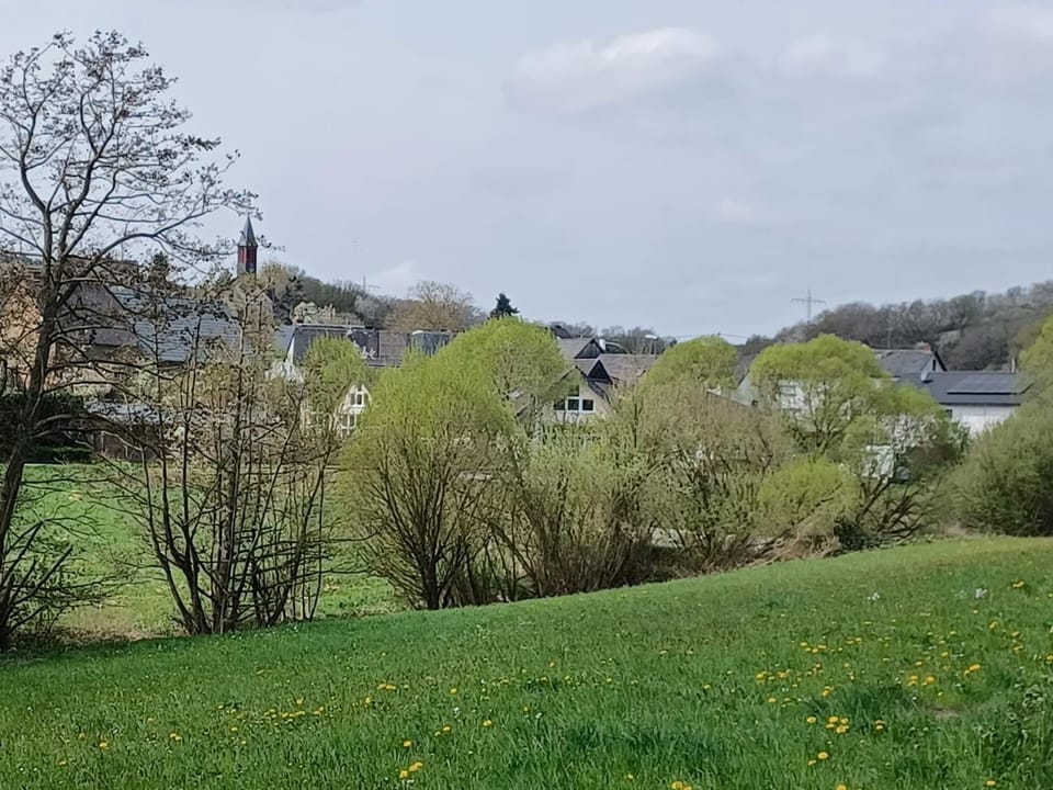 Ferienwohnung am Brohlbach Apartment in Cochem-Zell