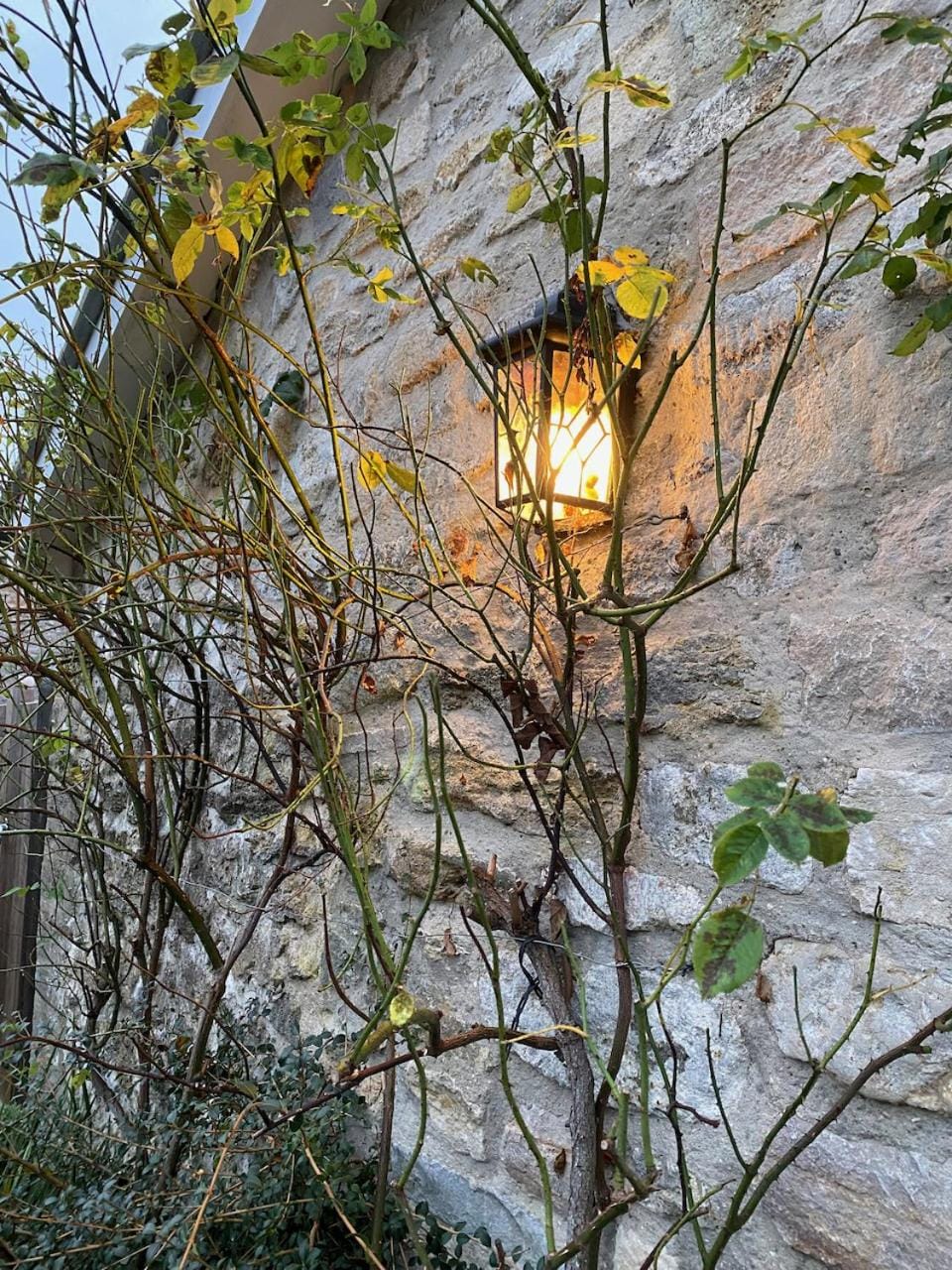 Facade/entrance, Winter, Garden, Autumn