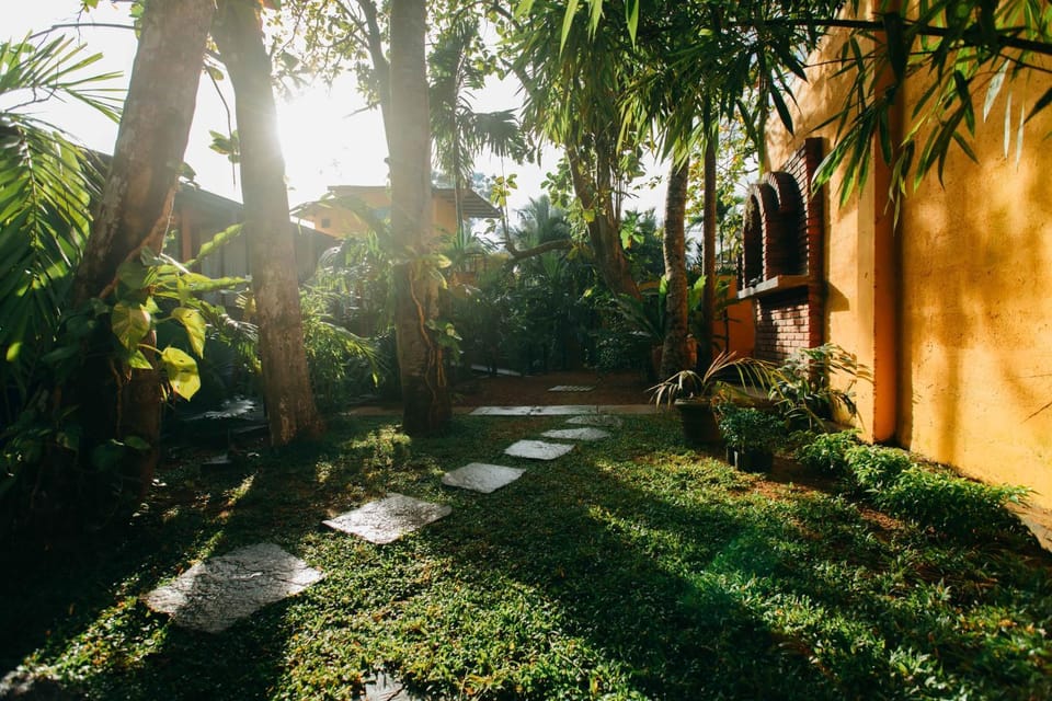 Natural landscape, Garden view