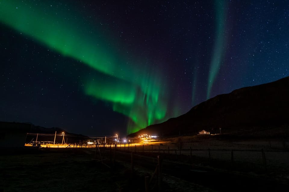 Arctic Lodge Tromvik with jacuzzi House in Troms Og Finnmark
