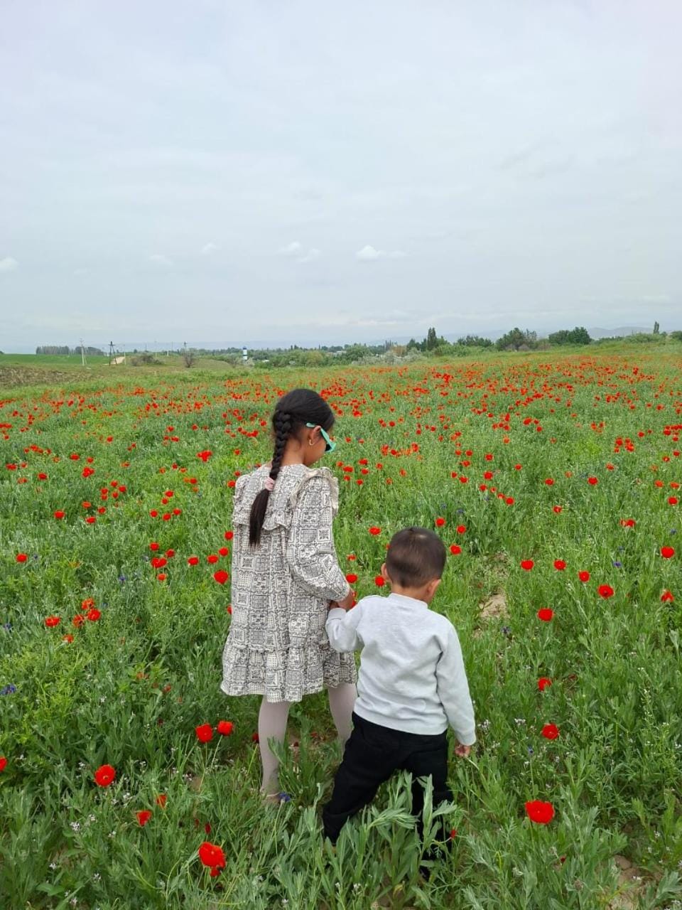 Homestay JAISEL Bed and Breakfast in Almaty Region, Kazakhstan