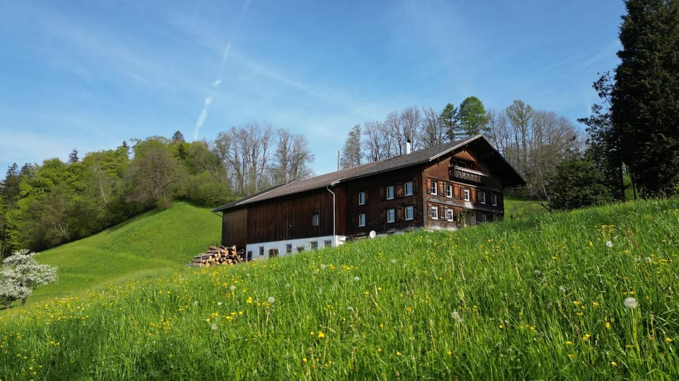 Property building, Staff, Natural landscape