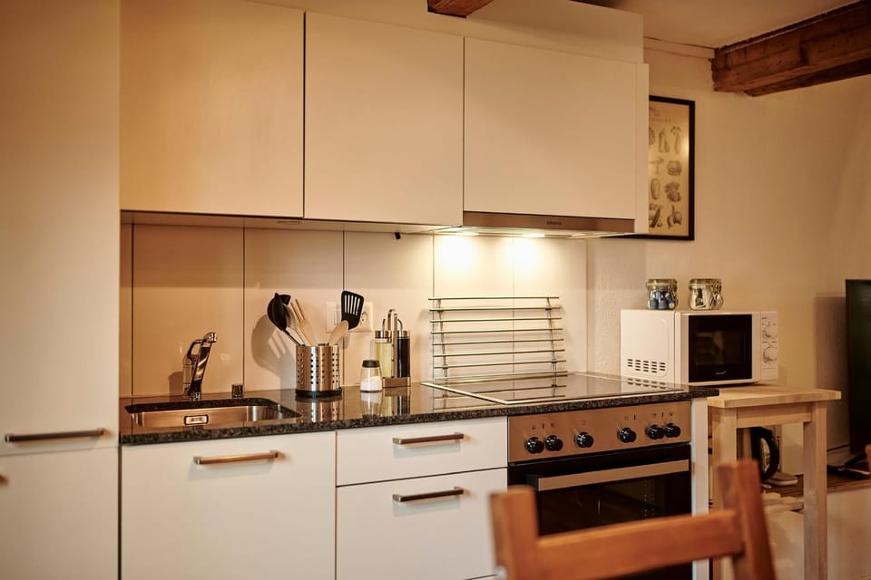 Coffee/tea facilities, Kitchen or kitchenette, dishwasher, minibar, pet friendly, stove, toaster