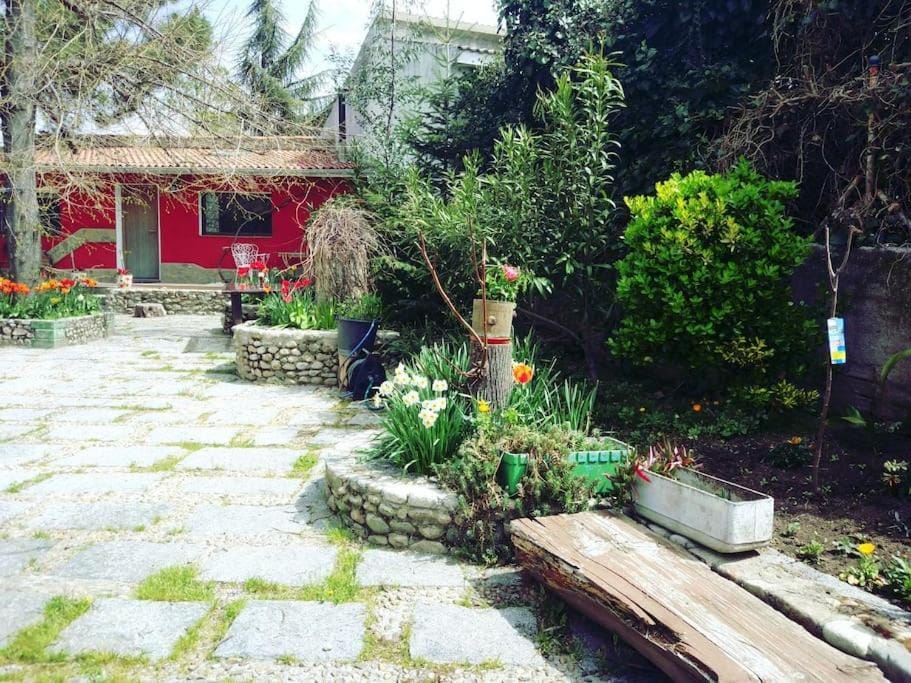Spring, Garden