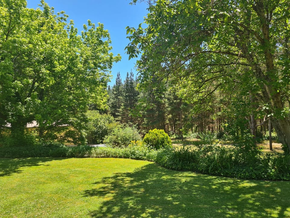 Day, Natural landscape, Garden, Garden view, Garden view