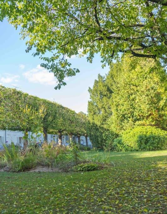 Natural landscape, Garden view