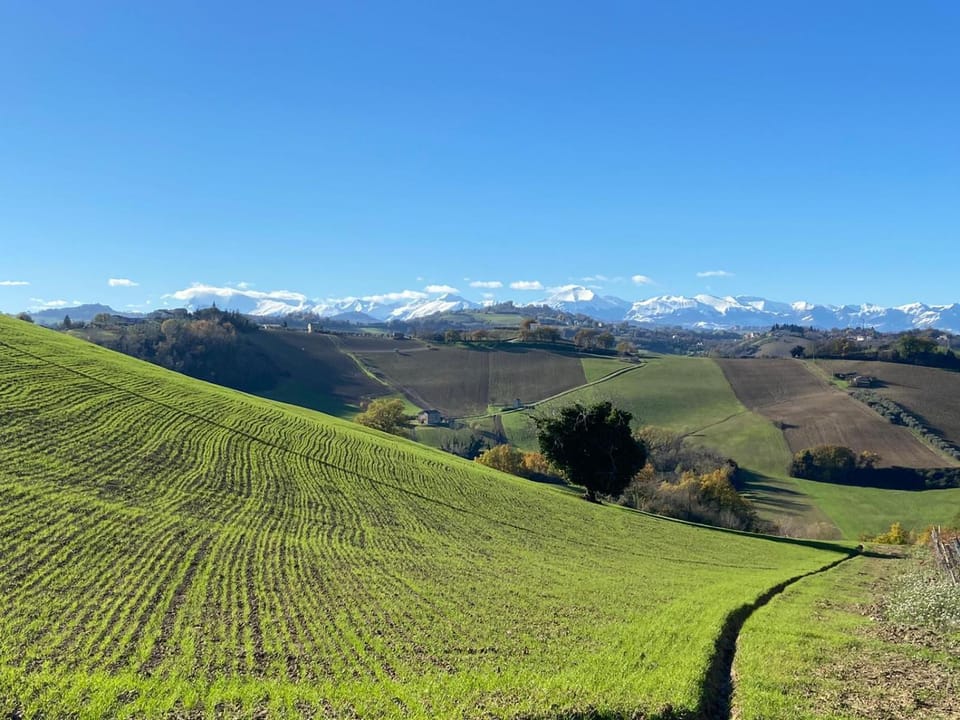 Nearby landmark, Natural landscape, Garden, Mountain view