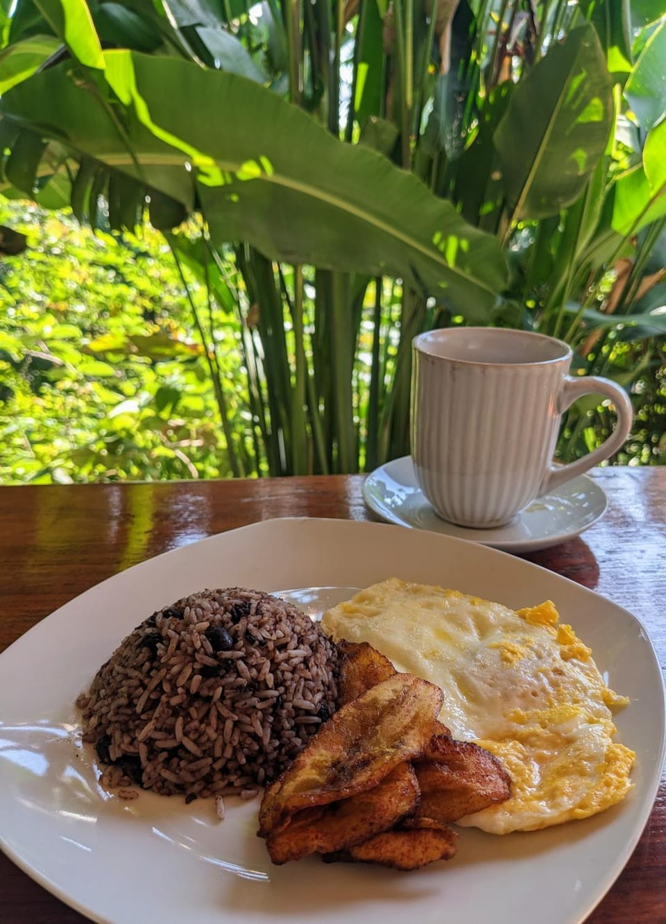 Restaurant/places to eat, Food, Breakfast