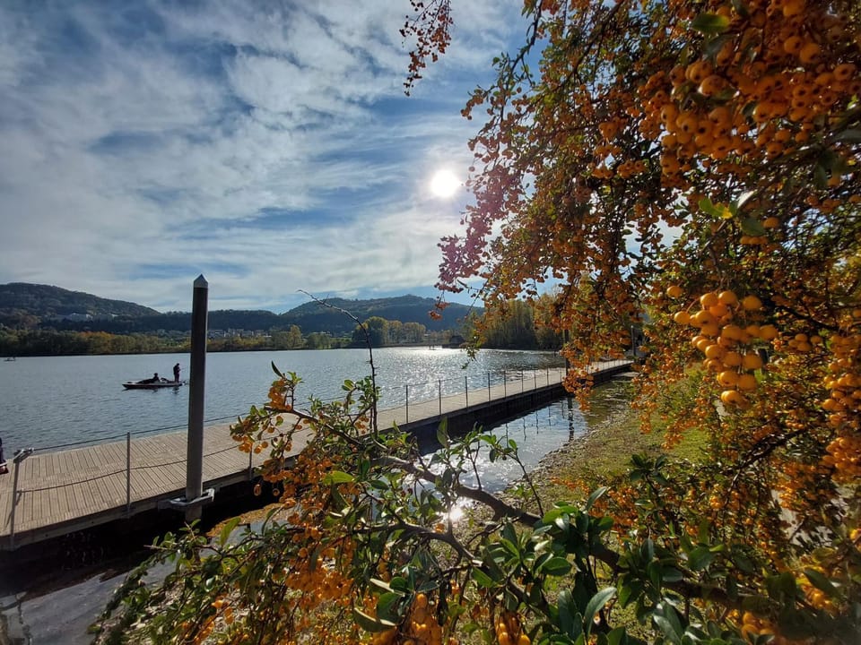 Natural landscape, Lake view