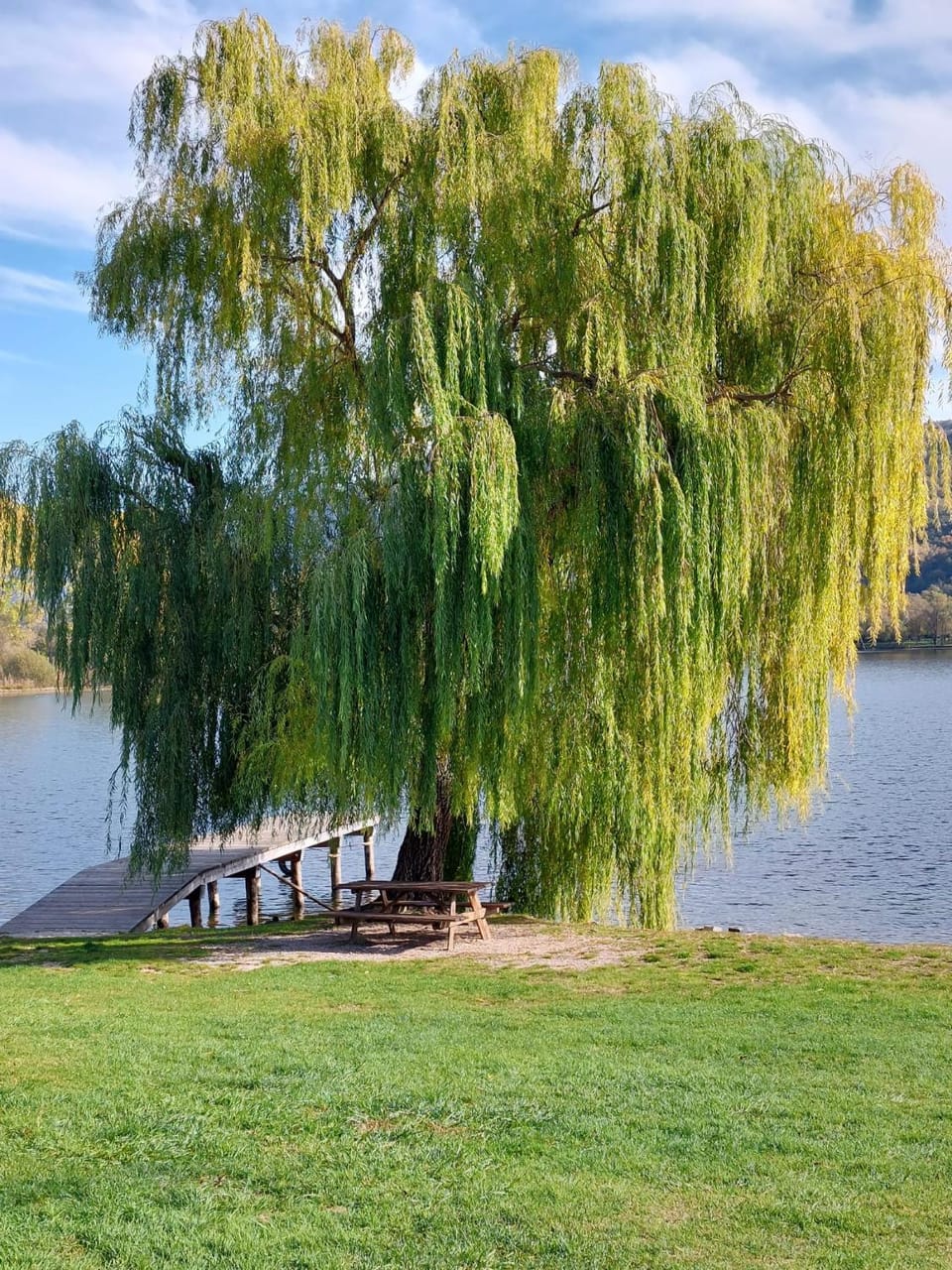 Nearby landmark, Spring, Day, Natural landscape, Garden, Garden view, Lake view, River view