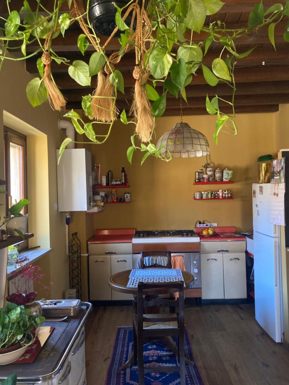 Kitchen or kitchenette, Dining area, Food, oven, pet friendly, stove, Internal: Not applicable to any particular room