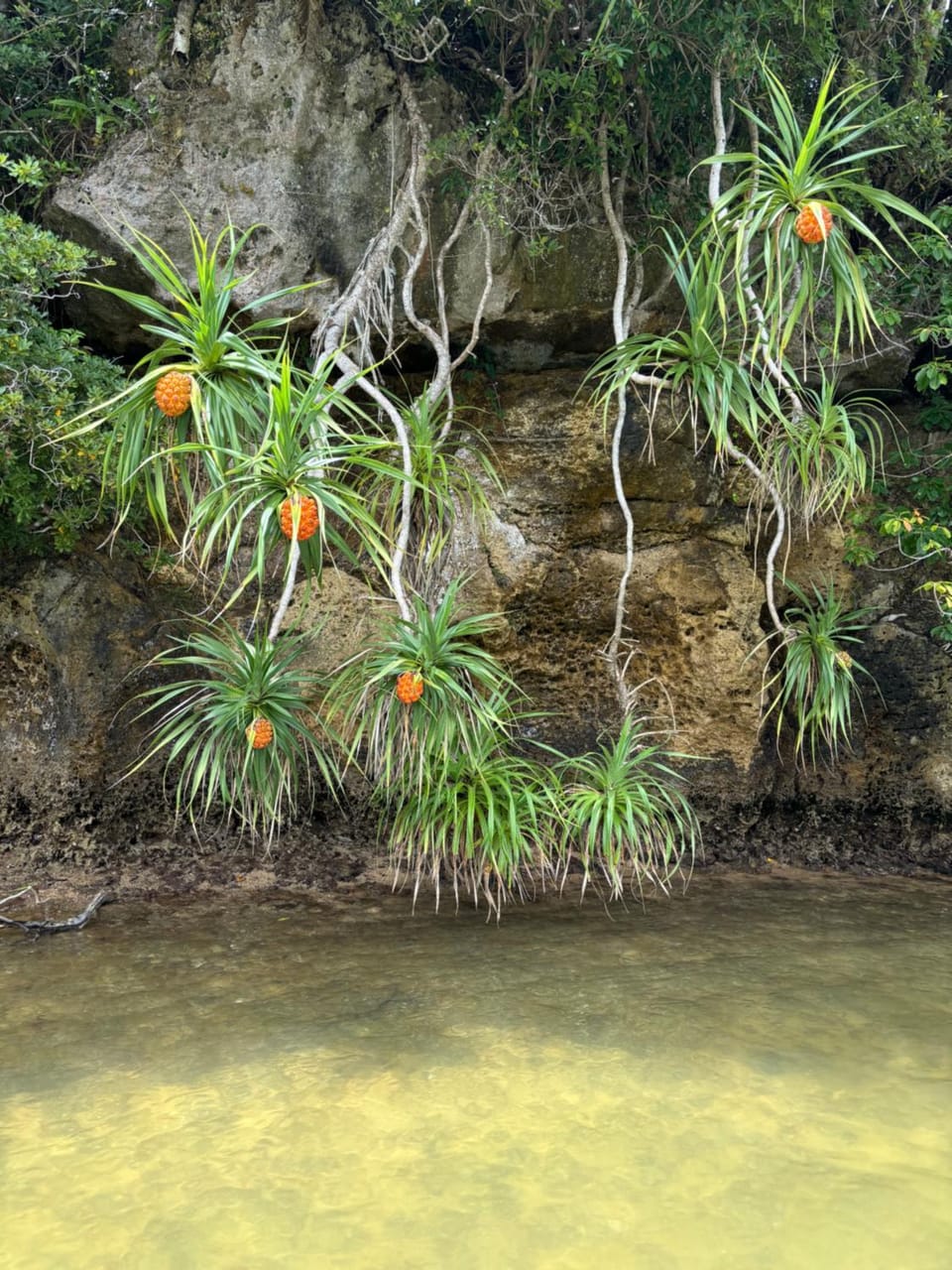 Natural landscape