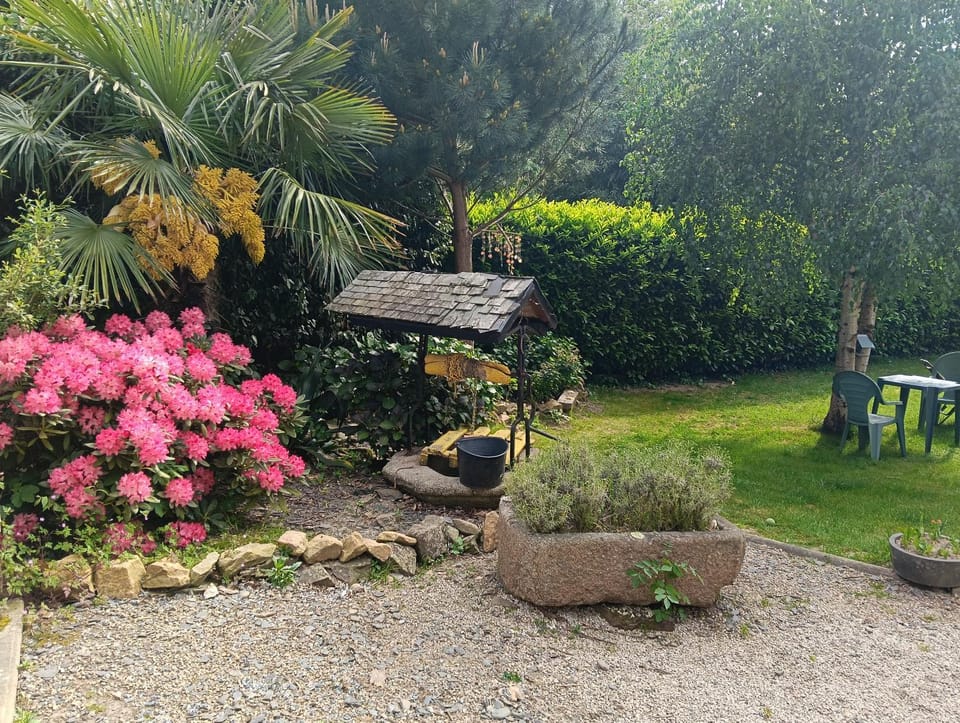 Property building, Garden, Garden view