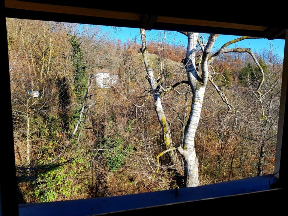 La Balotta Sport-Natura-Relax Apartment in Emilia-Romagna