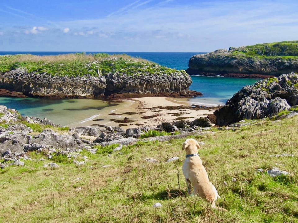 APARTAMENTOS RURALES El Llagar de Cue Apartment in Cantabria