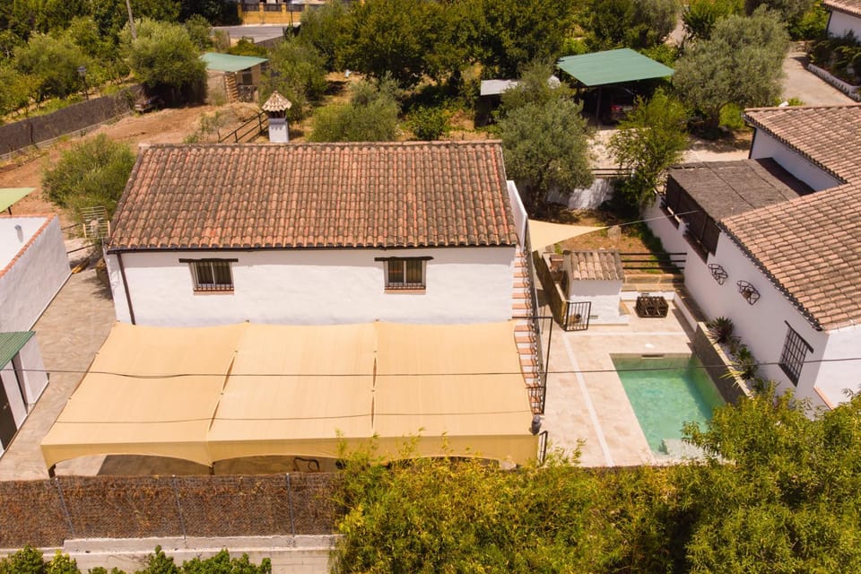 Bird's eye view, Swimming pool