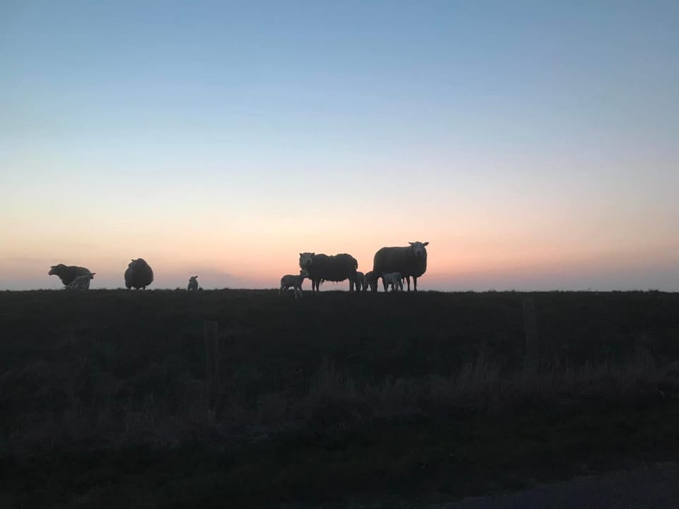 Natural landscape