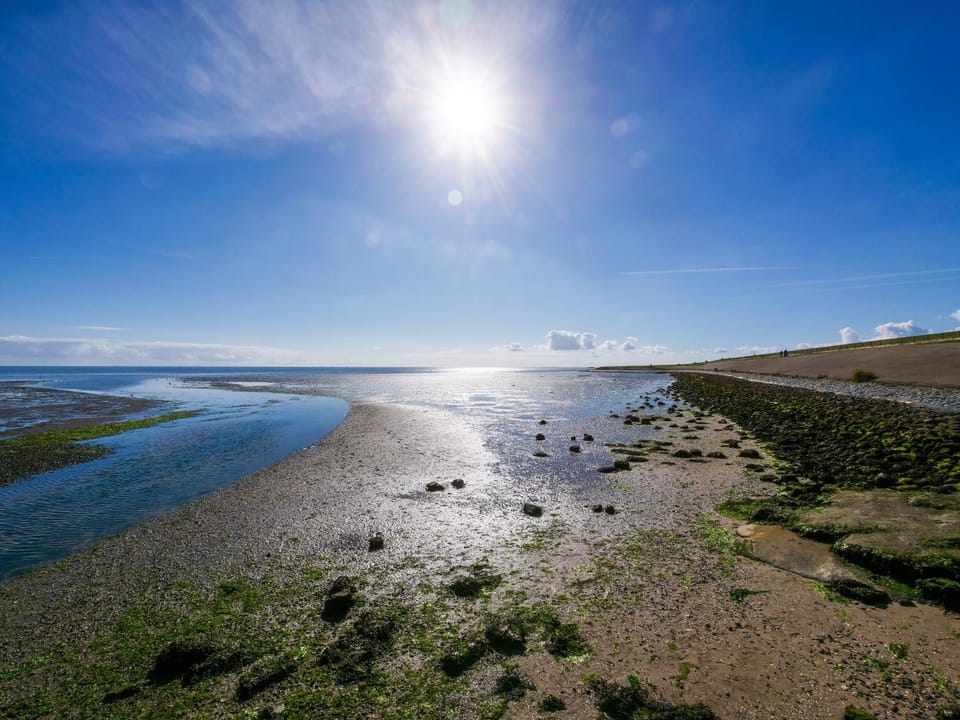 Natural landscape