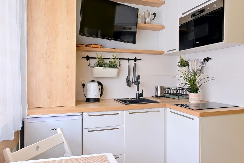 TV and multimedia, Kitchen or kitchenette, Meals, locker, minibar, pet friendly, stove, toaster