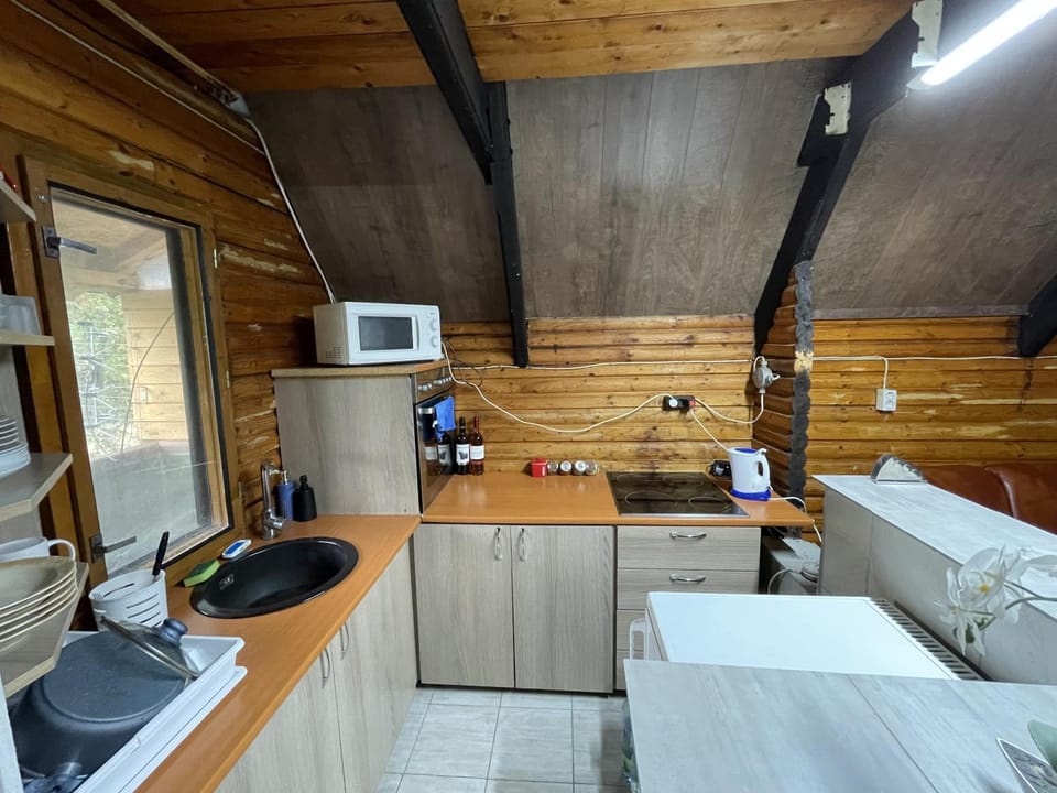 Kitchen or kitchenette, minibar, pet friendly