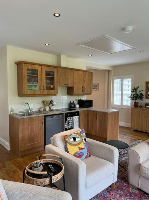 Adorable one bedroom apartment with balcony Apartment in Northern Ireland