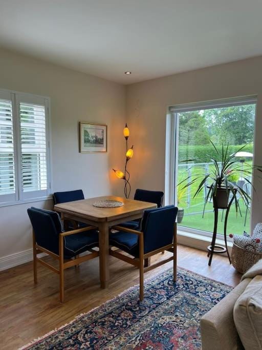Adorable one bedroom apartment with balcony Apartment in Northern Ireland