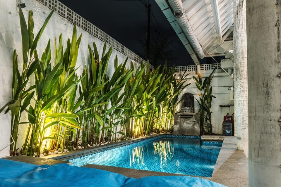 Night, Garden, Pool view, Swimming pool