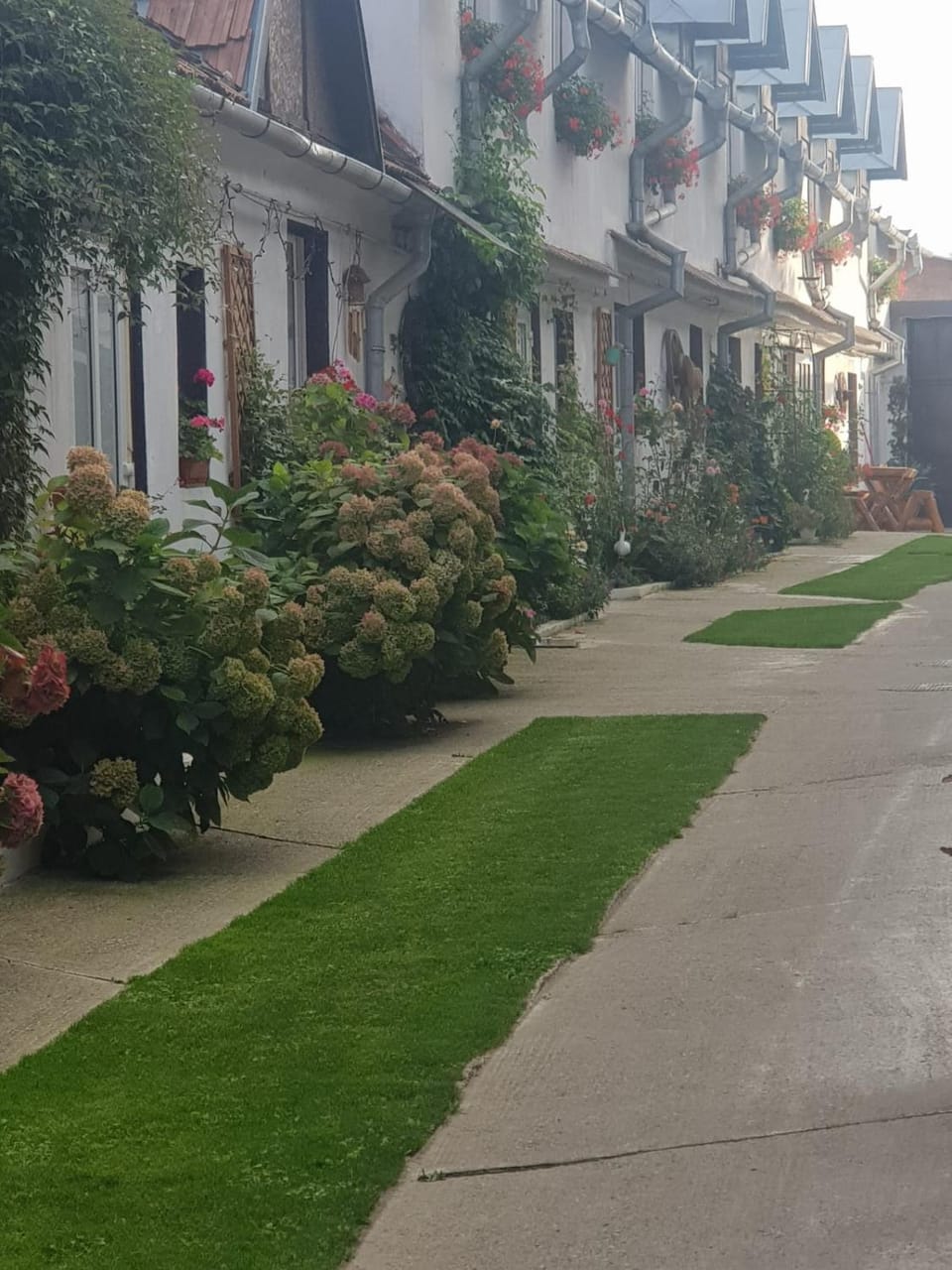 Neighbourhood