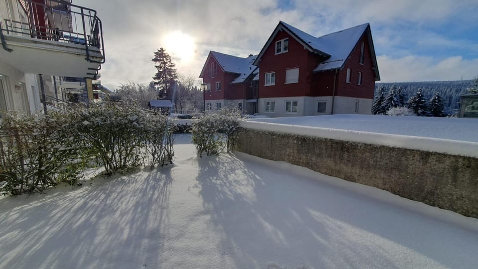 Natural landscape, Winter, Garden, Balcony/Terrace