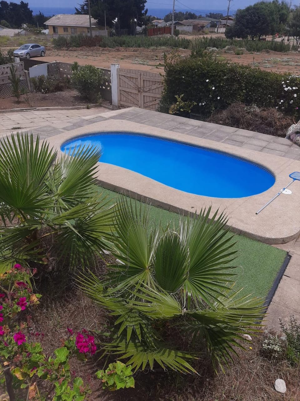 Pool view