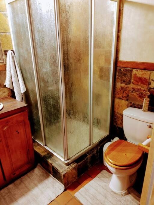 Shower, Toilet, Bathroom, towels