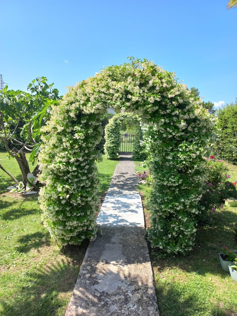 Spring, Day, Natural landscape, Garden, Garden view