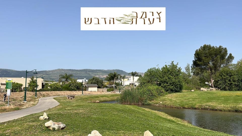 Natural landscape