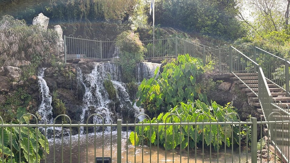 Natural landscape