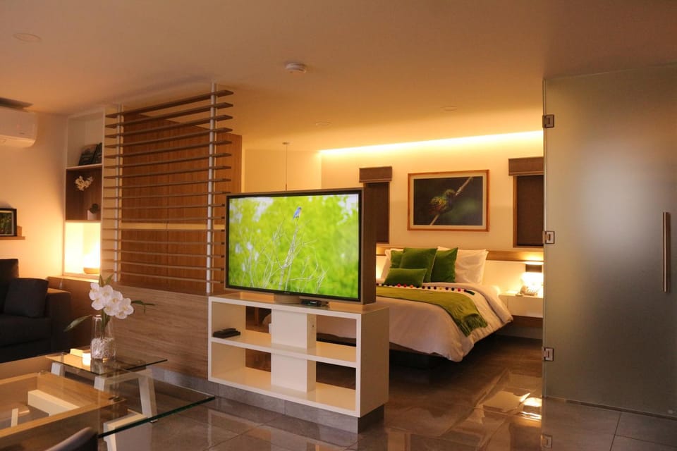Bed, TV and multimedia, Photo of the whole room