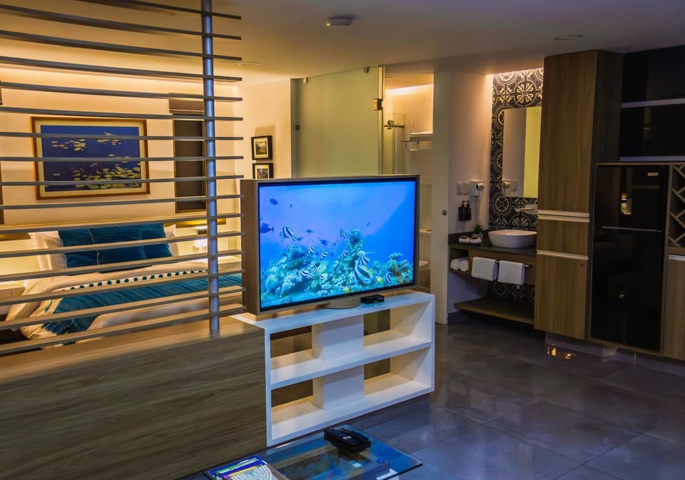 TV and multimedia