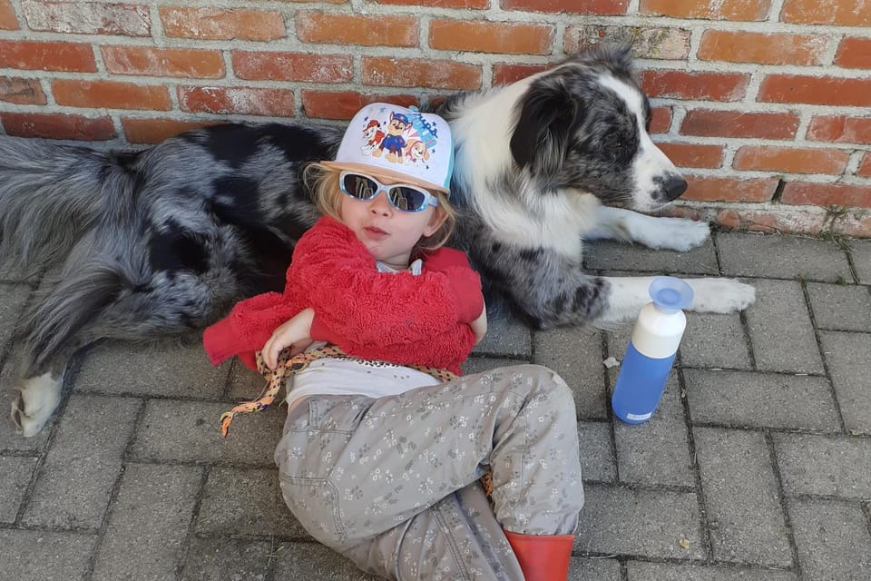 Hoeve Megusta Apartment in North Brabant (province)