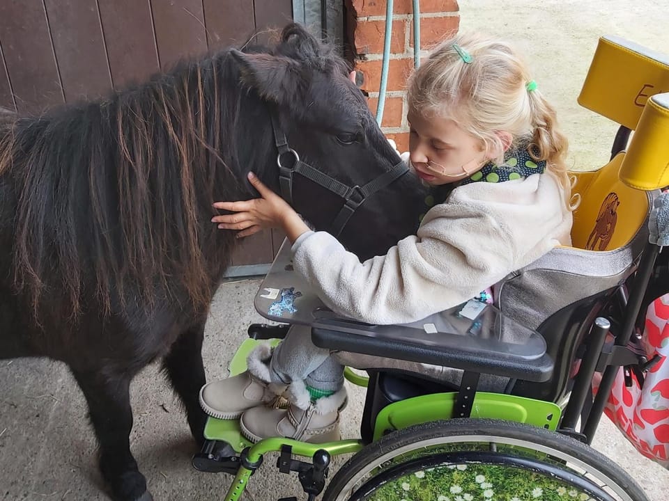 Hoeve Megusta Apartment in North Brabant (province)